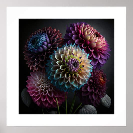 Poster Dahlia Flowers (Voorkant)