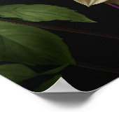 Poster Dahlia Flowers (Coin)