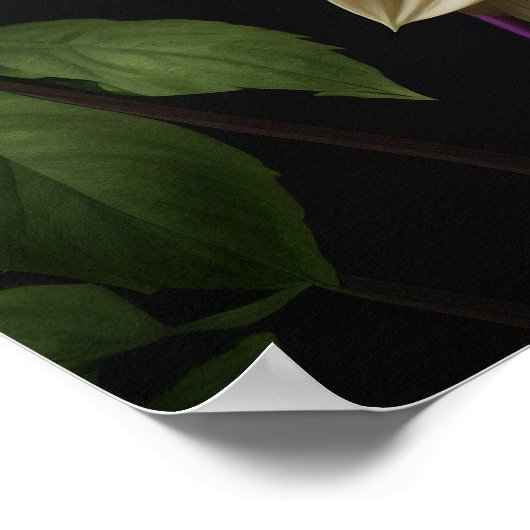 Poster Dahlia Flowers (Hoek)