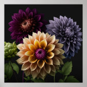 Poster Dahlia Flowers (Voorkant)