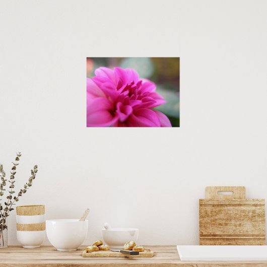 Poster Dahlia rose chaud (Cuisine)