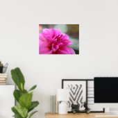 Poster Dahlia rose chaud (Bureau à domicile)