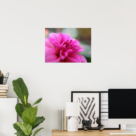 Poster Dahlia rose chaud (Bureau à domicile)
