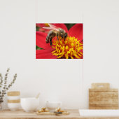 Poster Dahlia (rouge) (Cuisine)