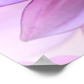 Poster Dahlia violet (Coin)