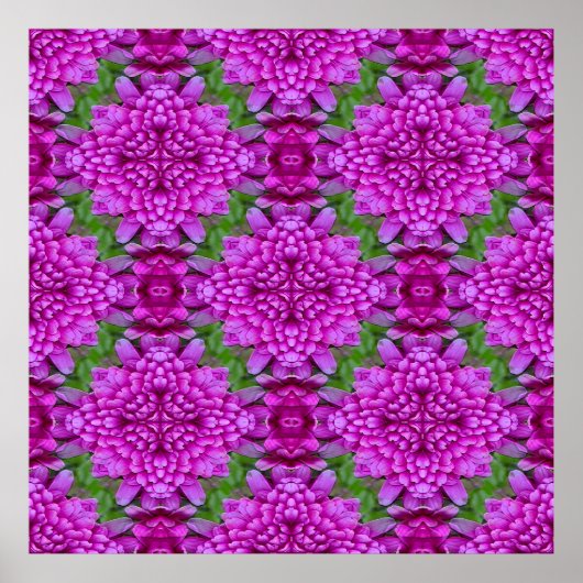 Poster Dahlias.... (Devant)