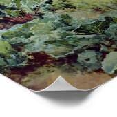 Poster Dahlias, 1896 (Coin)