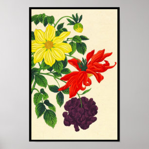 Poster Dahlias orientaux fleurs japonaises Nishimura Hodo