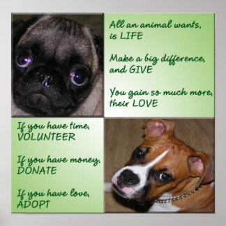Poster d'aide Animaux