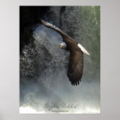 Poster d'aigle et de cascade (Devant)