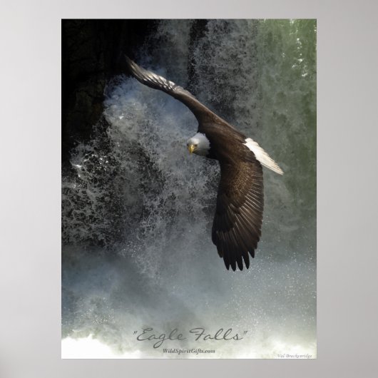 Poster d'aigle et de cascade (Devant)