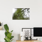 Poster d'aiguilles de pin avec Raindrops (Bureau à domicile)
