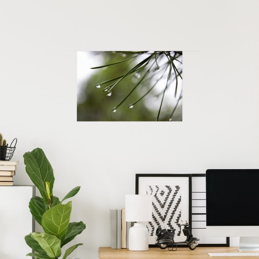 Poster d'aiguilles de pin avec Raindrops (Bureau à domicile)