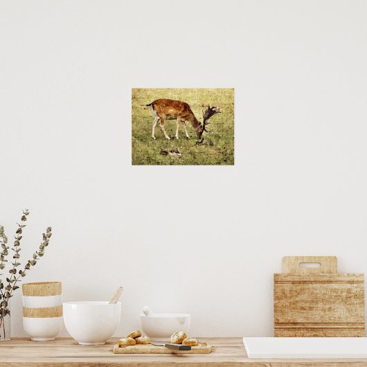 POSTER DAIM (Cuisine)