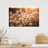 Poster Daisées oculaires du coucher de soleil (Cuisine)