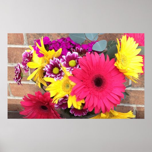 Poster Daisies Fleurs Beauté (Devant)
