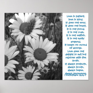 Poster Daisies sauvages Aimer