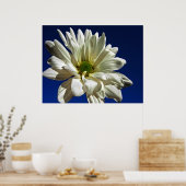 Poster Daisy (Cuisine)