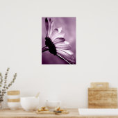 Poster Daisy (Cuisine)