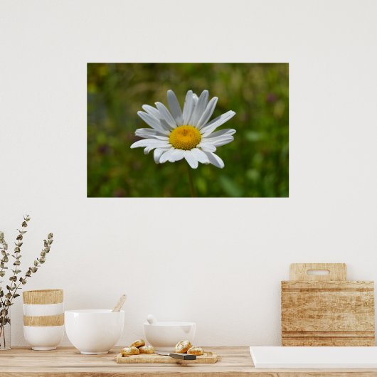 Poster Daisy (Cuisine)