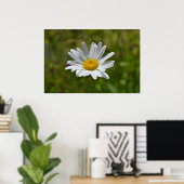 Poster Daisy (Bureau à domicile)
