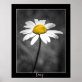 Poster Daisy (Devant)