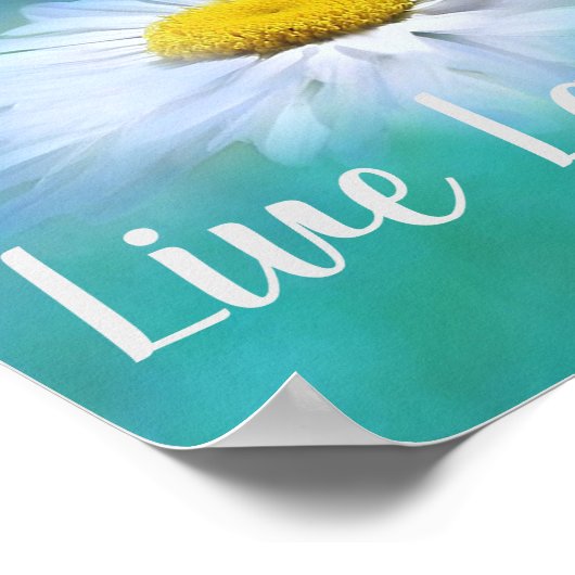 Poster Daisy (Coin)