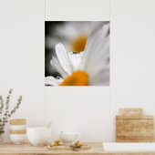 Poster Daisy (Cuisine)