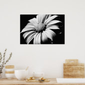 Poster Daisy (Cuisine)