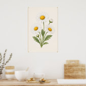 Poster Daisy Botanique, Fleur de Naissance d'Avril, Art M (Cuisine)