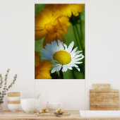 Poster Daisy Chamomile Fleur Floral Tournesol Lover Cadea (Cuisine)