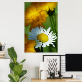 Poster Daisy Chamomile Fleur Floral Tournesol Lover Cadea (Bureau à domicile)