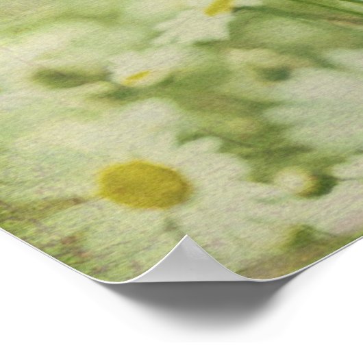 Poster Daisy Daydream (Coin)