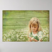 Poster Daisy Daydream (Devant)