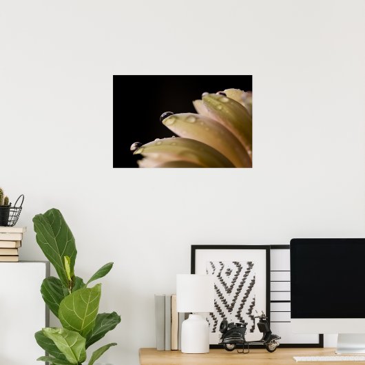 Poster Daisy Droplet (Bureau à domicile)