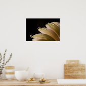 Poster Daisy Droplet (Cuisine)