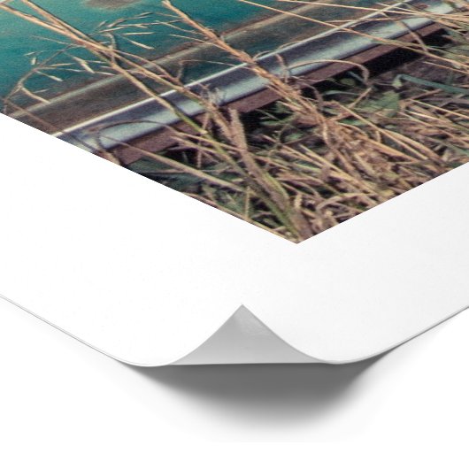 Poster Daisy Dukes (Coin)