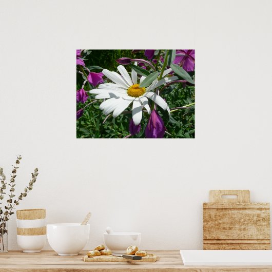 Poster Daisy et Fireweed (Cuisine)