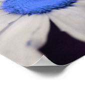 Poster Daisy Flower Blue Centre Raindrops Abstrait (Coin)