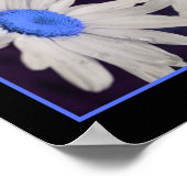 Poster Daisy Flower Blue Centre Raindrops Abstrait (Coin)