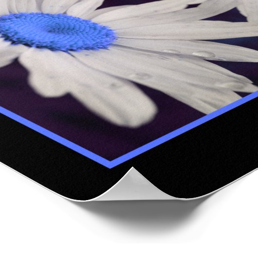 Poster Daisy Flower Blue Centre Raindrops Abstrait (Coin)