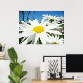 Poster Daisy Flowers estampes blanc Faisies bleu ciel (Bureau à domicile)