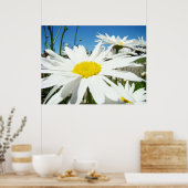 Poster Daisy Flowers estampes blanc Faisies bleu ciel (Cuisine)
