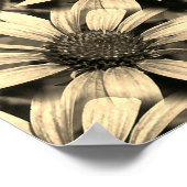 Poster Daisy Flowers Miroir Sepia Abstrait (Coin)