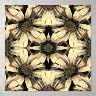 Poster Daisy Flowers Miroir Sepia Abstrait
