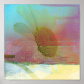 Poster Daisy Glitch (Devant)