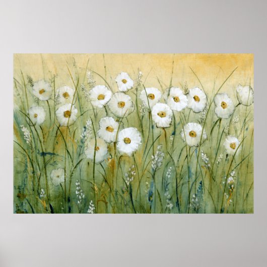 Poster Daisy Spring I (Devant)