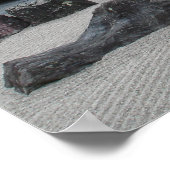 Poster Dalaï Gaga (Coin)