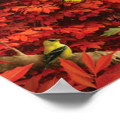 Poster d'Alan Giana "Bois d'automne" (Coin)