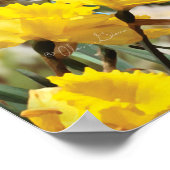 Poster d'Alan Giana "Garden Friends" (Coin)